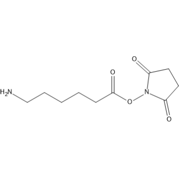 2,5-Dioxopyrrolidin-1-yl 6-aminohexanoate|CS-1639388