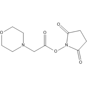 2,5-Dioxopyrrolidin-1-yl 2-morpholinoacetate|CS-1639422
