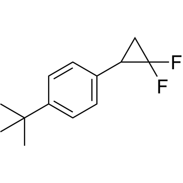 1-(tert-Butyl)-4-(2,2-difluorocyclopropyl)benzene|CS-1640019