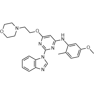 Lck Inhibitor III free base|CS-1640036