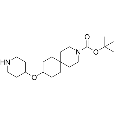 tert-Butyl 9-(piperidin-4-yloxy)-3-azaspiro[5.5]undecane-3-carboxylate|CS-1640637