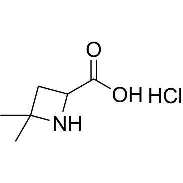 4,4-Dimethylazetidine-2-carboxylic acid hydrochloride|CS-1640662