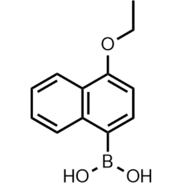 (4-Ethoxynaphthalen-1-yl)boronic acid|CS-1642254