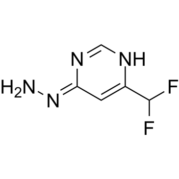 6-(Difluoromethyl)-4-hydrazono-1,4-dihydropyrimidine|CS-1642293