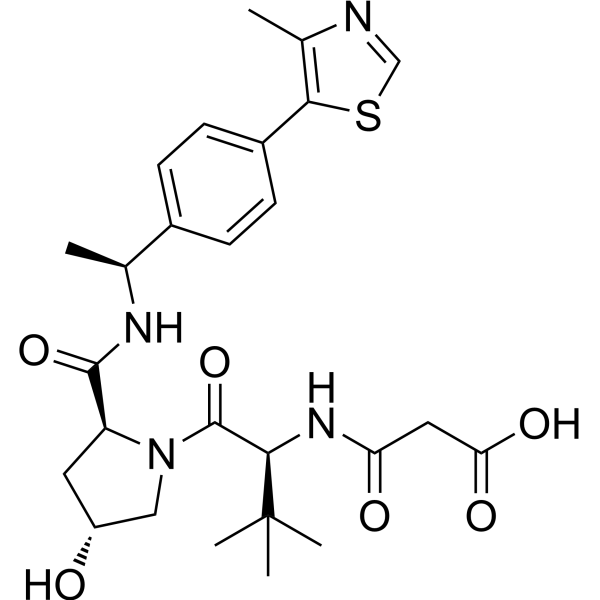 3-(((S)-1-((2S,4R)-4-Hydroxy-2-(((S)-1-(4-(4-methylthiazol-5-yl)phenyl)ethyl)carbamoyl)pyrrolidin-1-yl)-3,3-dimethyl-1-oxobutan-2-yl)amino)-3-oxopropanoic acid|CS-1644316