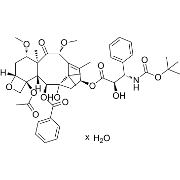 Cabazitaxel monohydrate|CS-1656597