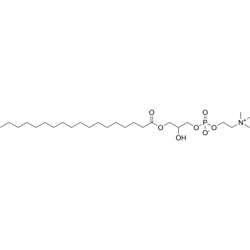 1-Stearoyl-lysophosphatidylcholine|CS-1660545