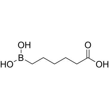 6-Boronohexanoic acid|CS-1666173