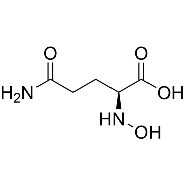 Hydroxy-l-glutamine|CS-1666626