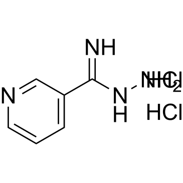 Nicotinimidohydrazide dihydrochloride|CS-1669684