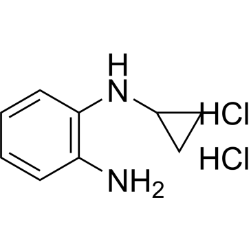 N1-Cyclopropylbenzene-1,2-diamine dihydrochloride|CS-1673929