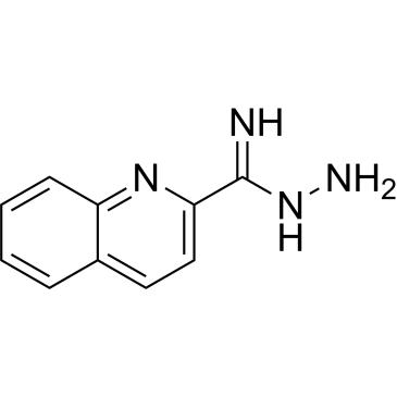 Quinoline-2-carboximidhydrazide|CS-1674402