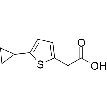 2-(5-Cyclopropylthiophen-2-yl)acetic acid|CS-1683982