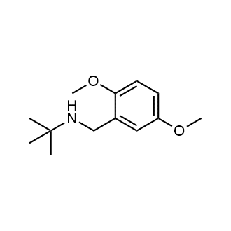 N-(2,5-Dimethoxybenzyl)-2-methylpropan-2-amine|CS-1688345