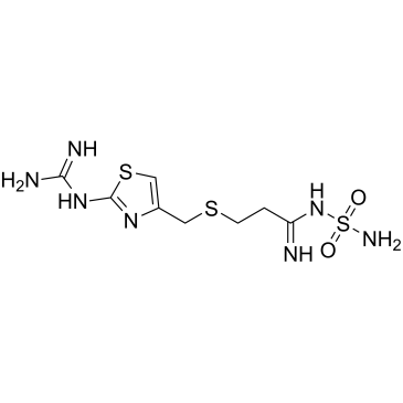 Famotidine solution|CS-1692832