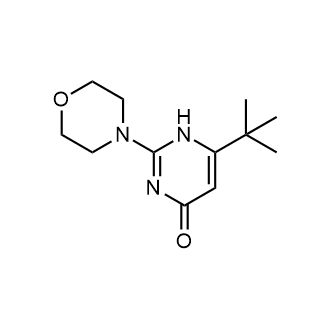 6-(tert-Butyl)-2-morpholinopyrimidin-4(1H)-one|CS-1693440