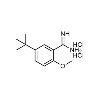 5-(tert-Butyl)-2-methoxybenzimidamide dihydrochloride|CS-1695389