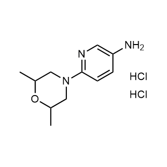 6-(2,6-Dimethylmorpholino)pyridin-3-amine dihydrochloride|CS-1695757