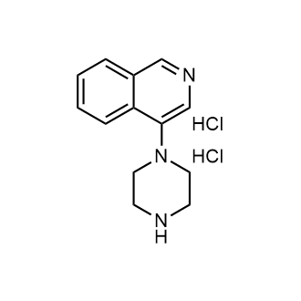4-(Piperazin-1-yl)isoquinoline dihydrochloride|CS-1697541