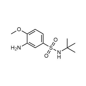 3-Amino-N-(tert-Butyl)-4-methoxybenzenesulfonamide|CS-1699827