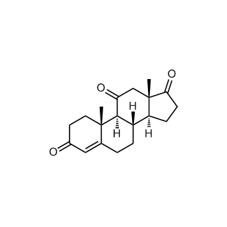 Adrenosterone|CS-1756