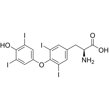 L-Thyroxine|CS-1819
