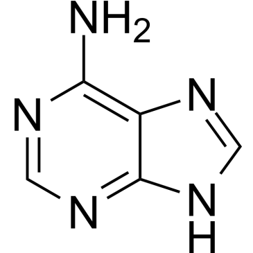 CS-1984