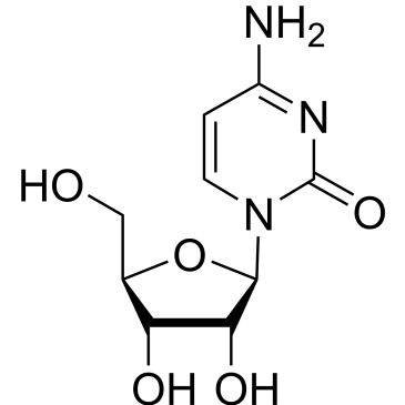 CS-1989