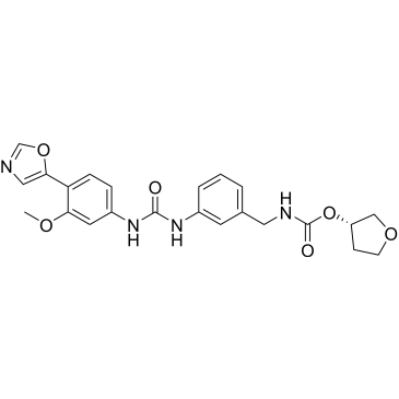 CS-2105