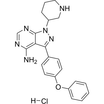 CS-2437