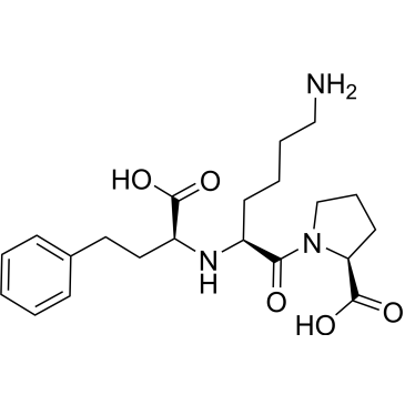 CS-2443