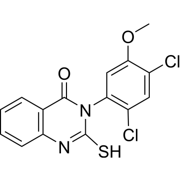 CS-2462