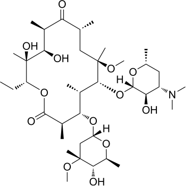 Clarithromycin|CS-2576