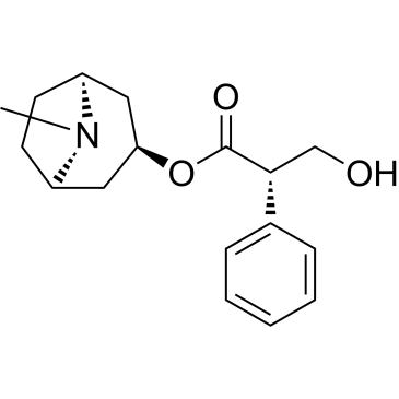 CS-2640
