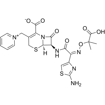 Ceftazidime|CS-2810