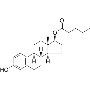 CS-2904