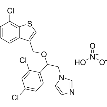 CS-2960