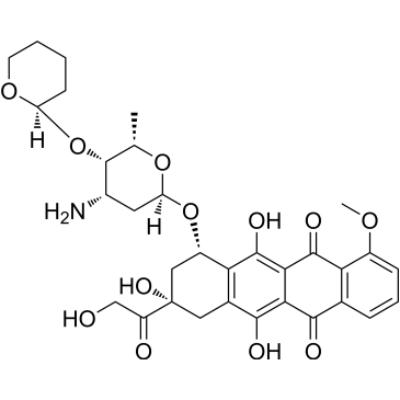 Pirarubicin|CS-2985