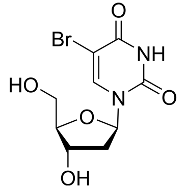 CS-3028