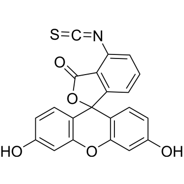 CS-3065