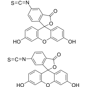 CS-3066