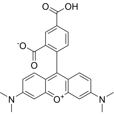 CS-3067