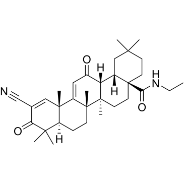 CS-3079