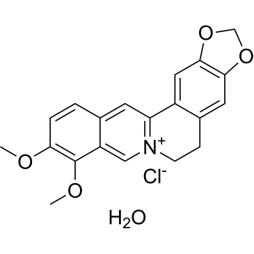 CS-3213