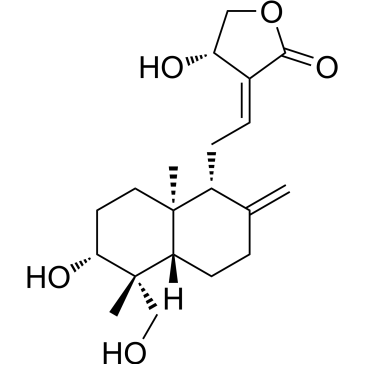 CS-3334