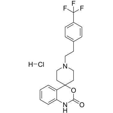 CS-3486