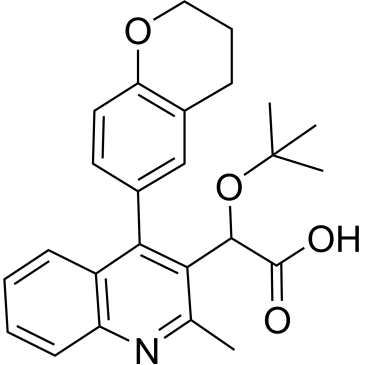 CS-3511