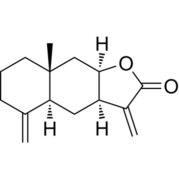 CS-3635