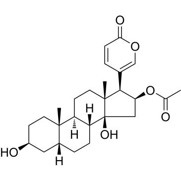 Bufotalin|CS-3695