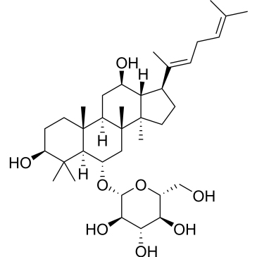 CS-3843